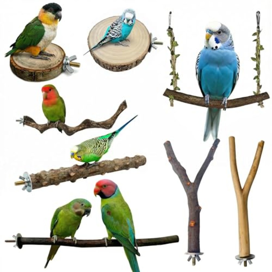 Health & Wellness Naics Code - 8PCS natural wood bird perches for